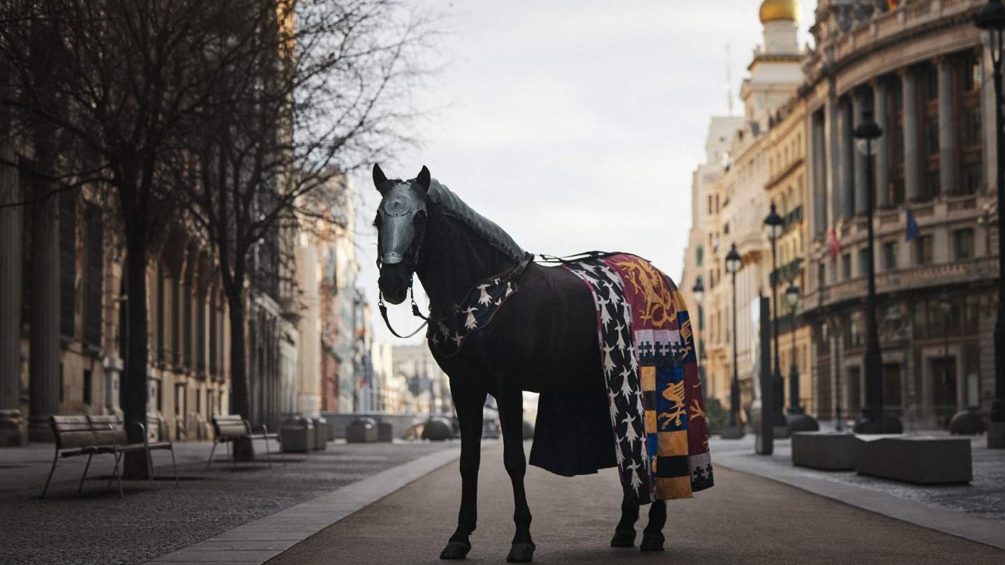 La Historia te llama