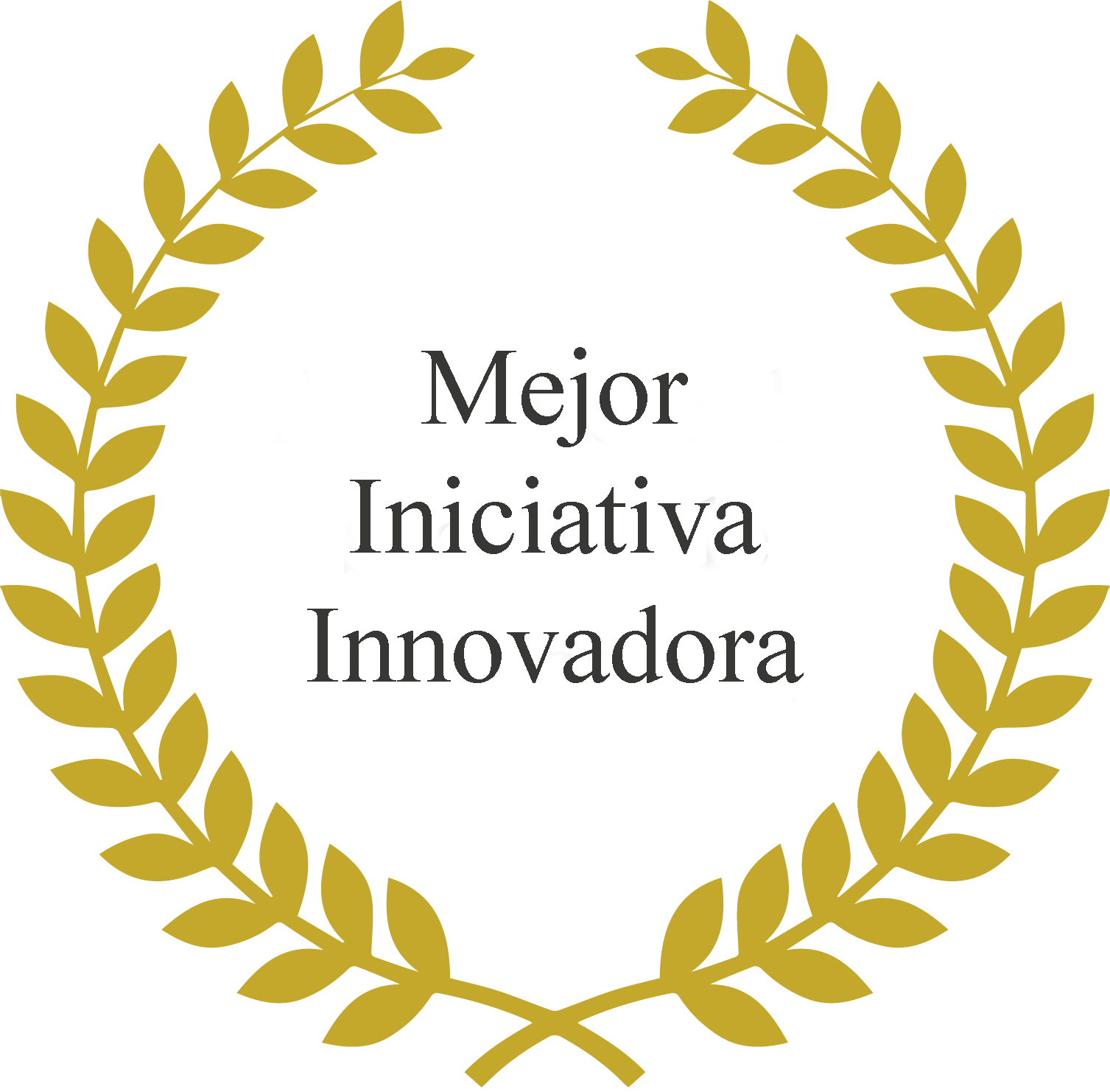 Mejor Iniciativa Innovadora