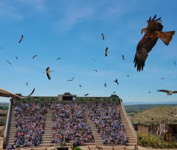 Opiniones Reseñas Valoraciones Puy du Fou España