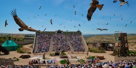 Qué es Puy du Fou